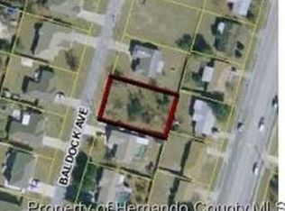 5408 Baldock Ave, Spring Hill, FL 34608