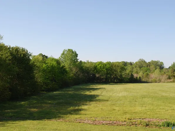 County Road 85, Stevenson, AL 35772