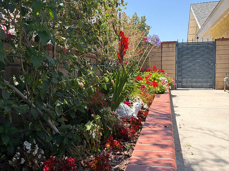 27525 N Pamplico Dr — Photo 10