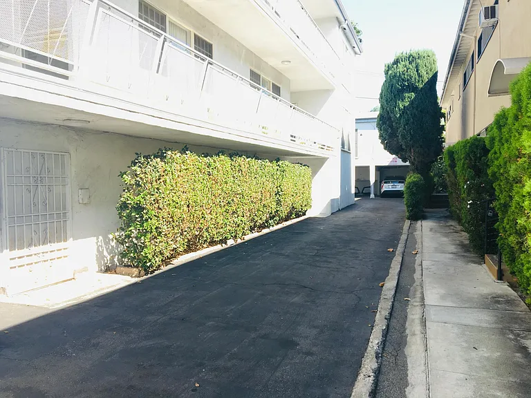 Driveway