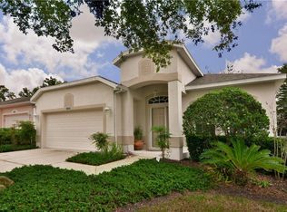 4207 Greenwich Ct, Clermont, FL 34711