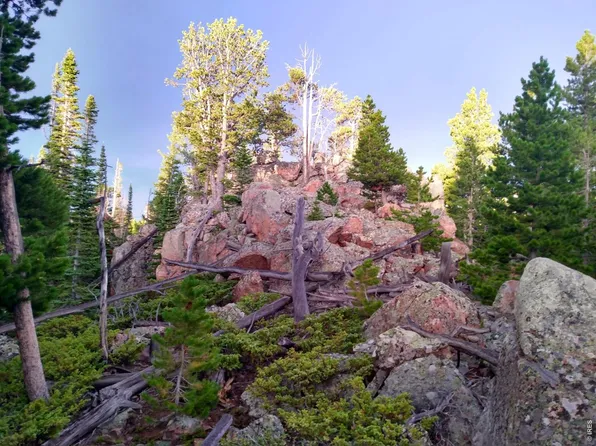 3765 Forest Road 195, Red Feather Lakes, CO 80545