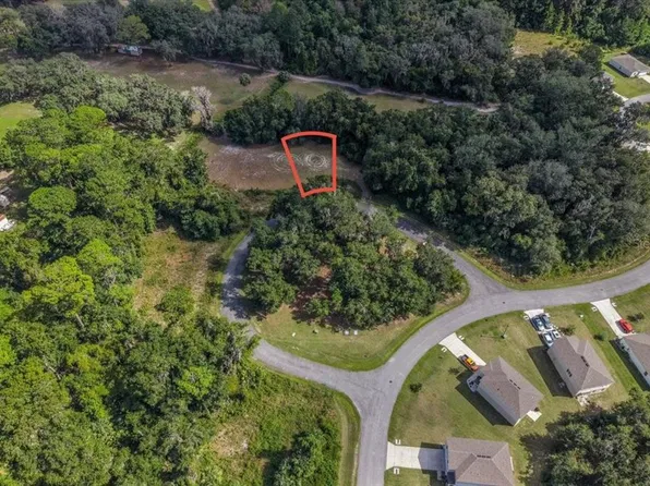 167 LIVE OAK CIRCLE LOT 9, CRESCENT CITY, FL 32112