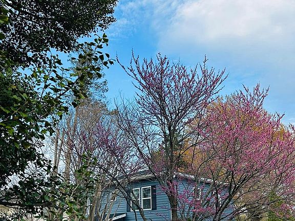 3rd image of 3141 Annandale Rd