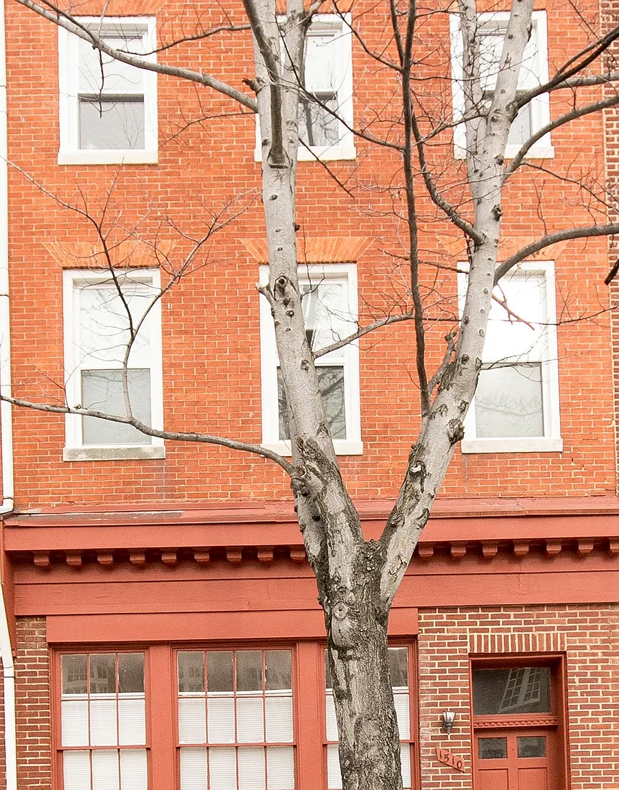 1510 East Baltimore Street - 1 — Photo 1