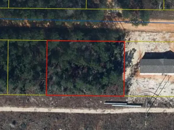 Cowslip Ct, Defuniak Springs, FL 32433