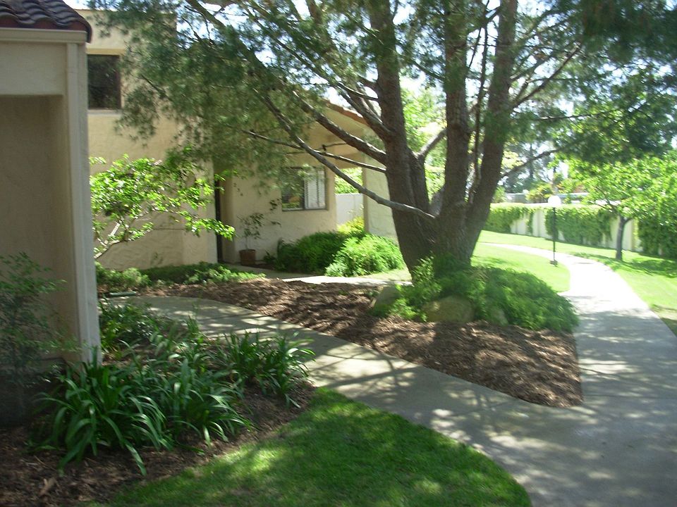 Tree lined entrance