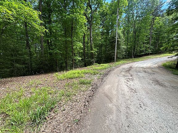 4th image of LOT 1-1B Forest Ln