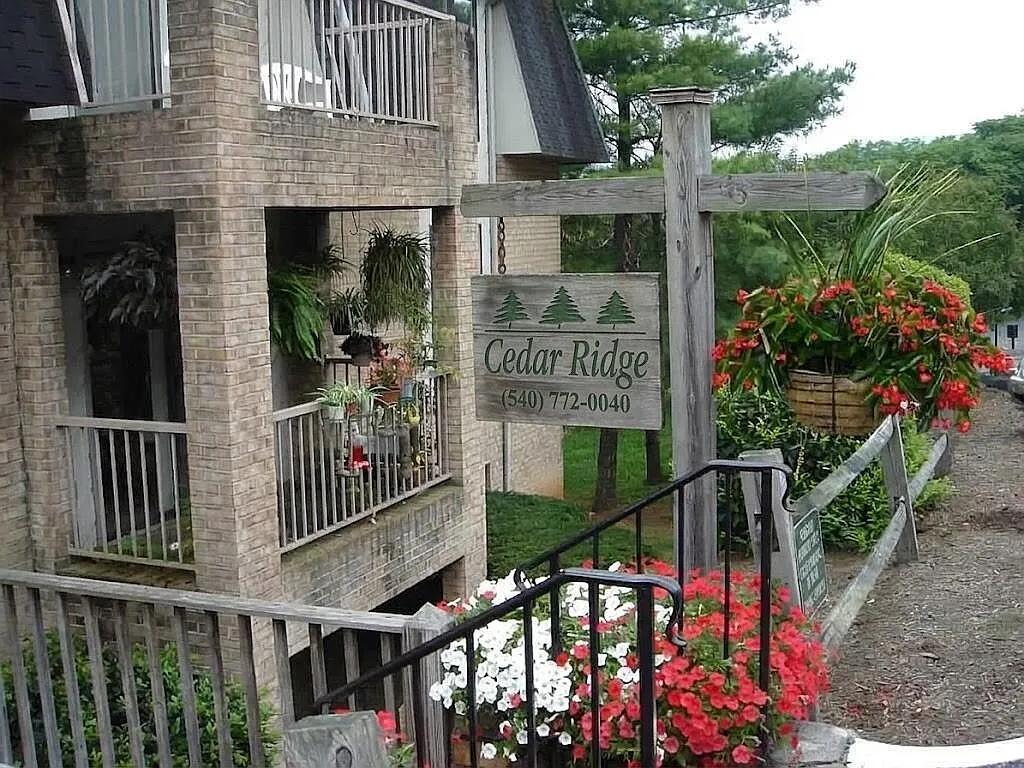 2 bed, 1.5 bath, 920 sqft, $1,250 — Photo 2