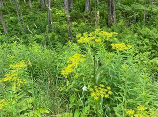 0 Route 30, Jamaica, VT 05343