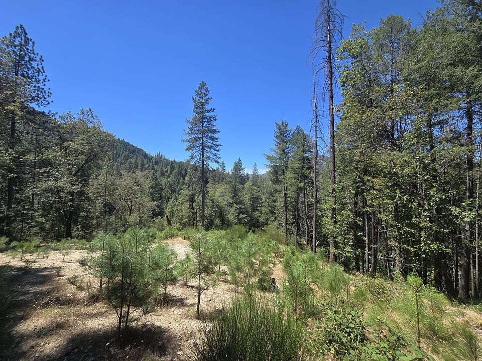 1st image of Roaring Brook Way