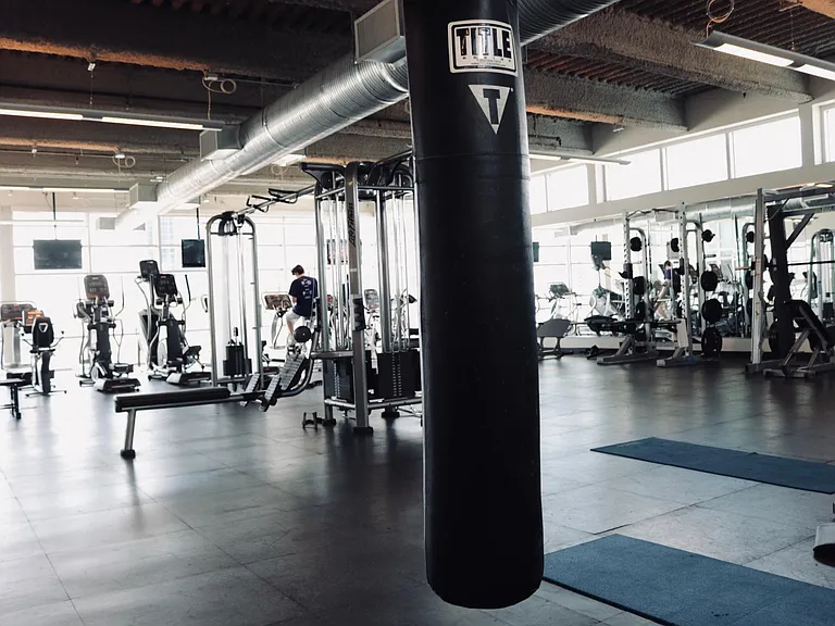 The Vue — Photo 10