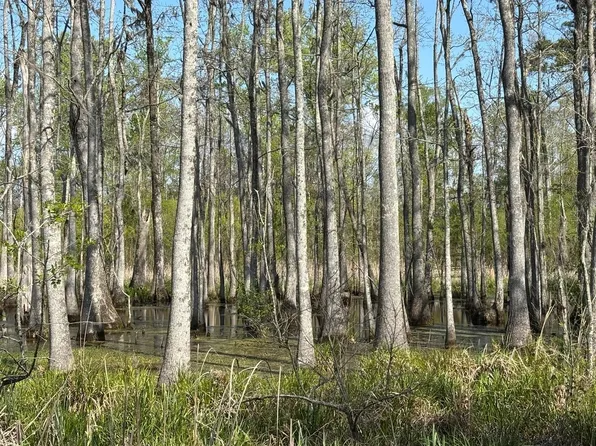 Rocky Ford Rd. #Chatman Road, Salters, SC 29590