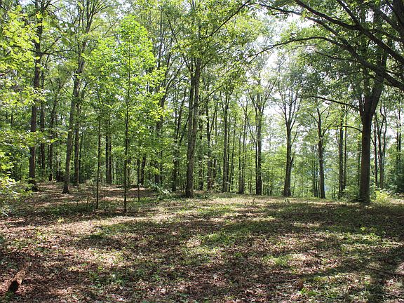 2nd image of 325 Overlook Dr