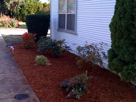 Front of house plants