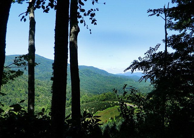 2nd image of Mountain Glen Cir