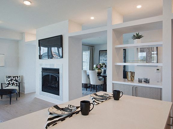 Double-Sided Gas Fireplace