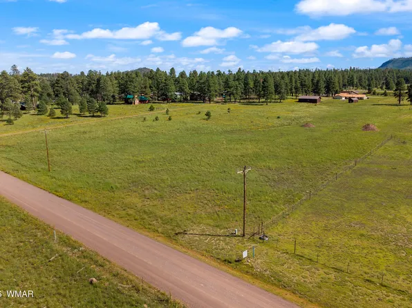 18 County Road 2092, Alpine, AZ 85920