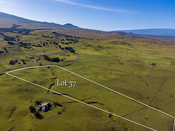 2nd image of LOT 37 Lot 37