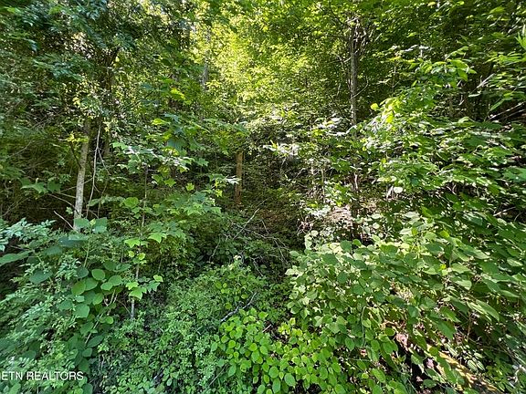 3rd image of LOT 8 Apache Rd