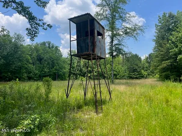 0 Robinson Springs Rd, Flora, MS 39071