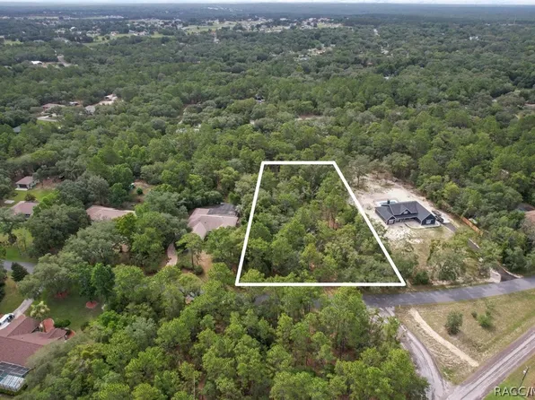 400 E Knightsbridge Pl, Lecanto, FL 34461