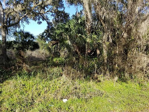 2nd image of 1243 County Road 309
