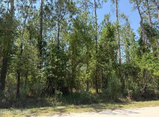109 WHITE PINE Lane, Georgetown, FL 32139