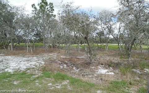 5th image of 4629 Bonnie Dr