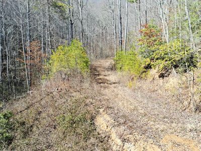 Township Road 5 Lanterns Wick Trl, Sylva, NC, 28779