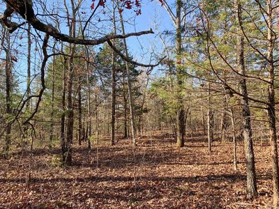 150 Odom Point Rd, Bee Branch, AR, 72013
