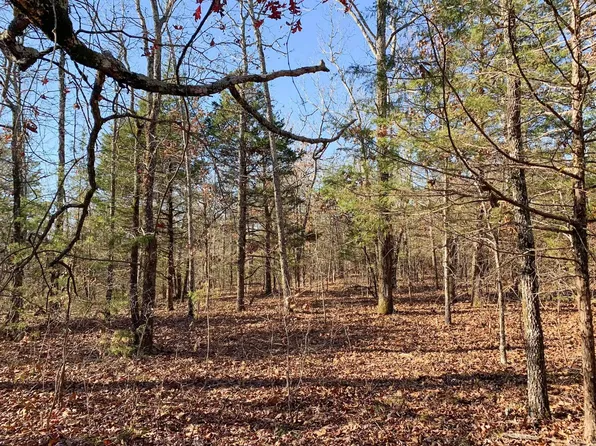 150 Odom Point Rd, Bee Branch, AR 72013
