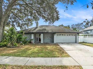 6308 Nesting Ct, Tampa, FL 33625