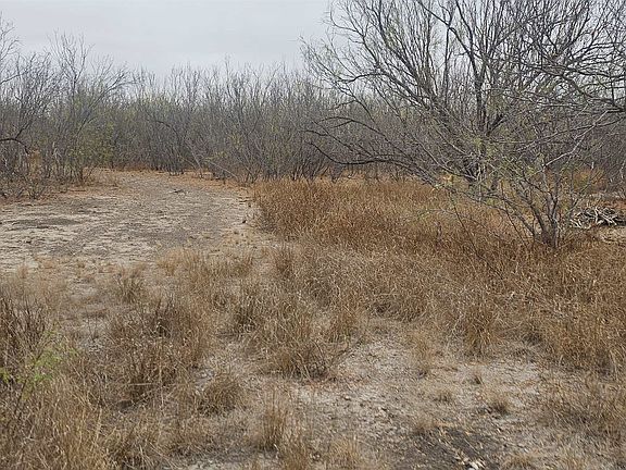 5th image of Out Of Area