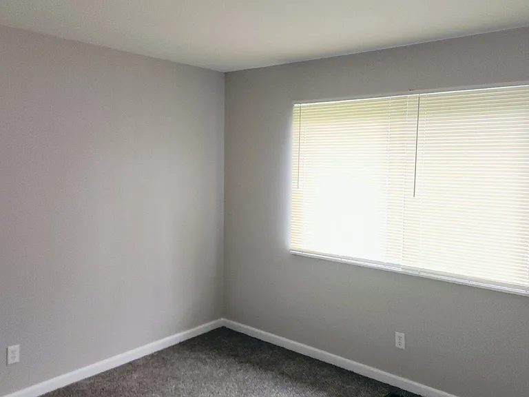 7323 Landi Ct — Photo 13