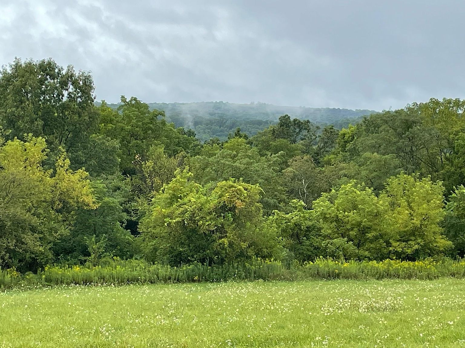 11 Royal Oaks Estate Ln, Harpers Ferry, IA 52146 MLS 20231541 Zillow