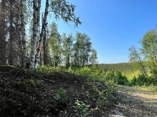 A002 N Road Trl, Willow, AK 99688