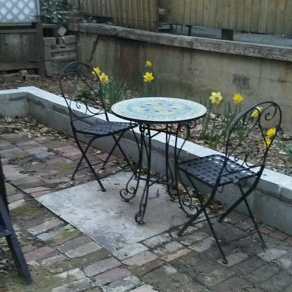 Back yard in Spring