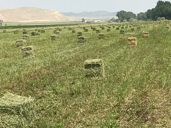 Hergenrider Rd, Bridger, MT 59014