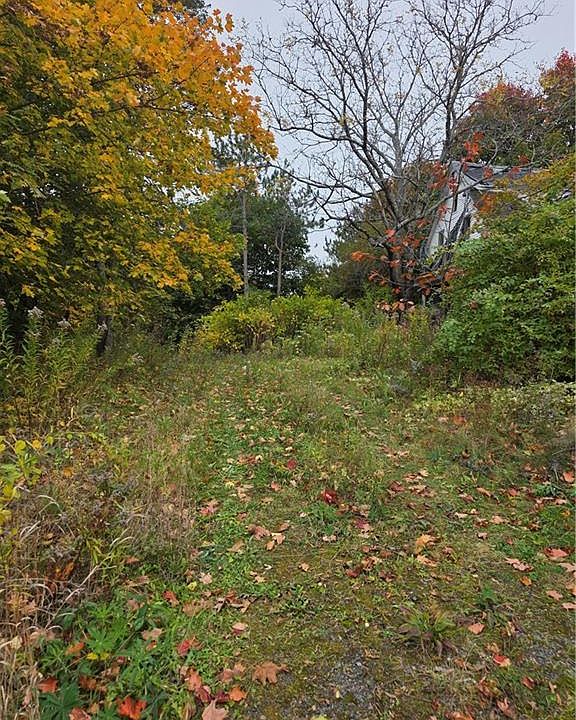 1st image of 19 Carlisle Rd