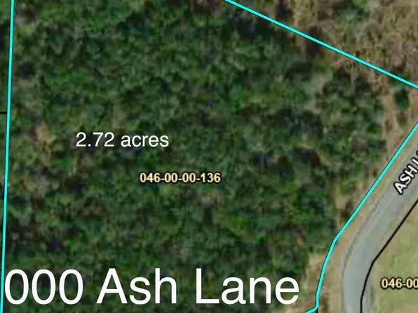 0 Ash Ln, Williston, SC 29853