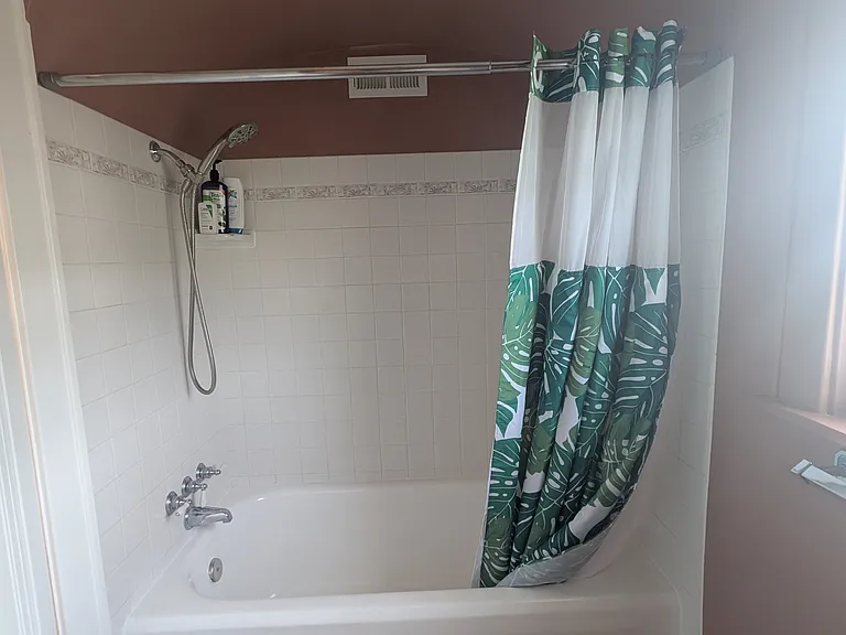 Upstairs Bathroom Shower