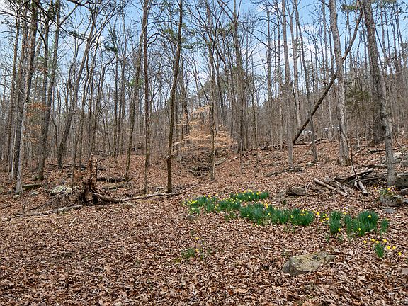 3rd image of LOT 8 Raulstontown Rd