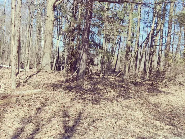 0 Schott Rd, Harbor Beach, MI 48441