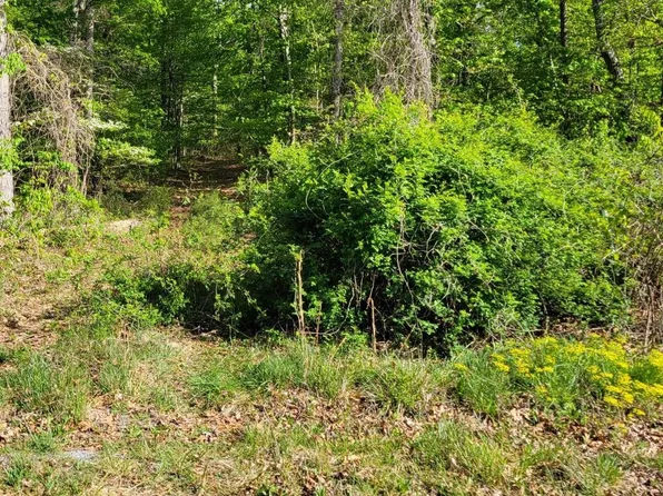 0 Ore Bank Rd, Pt Republic, VA 24471