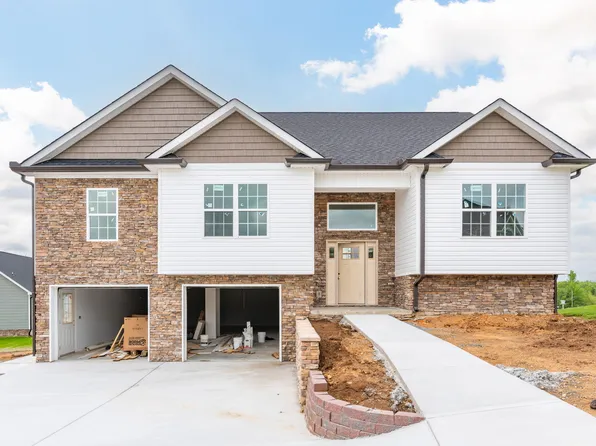 10036 Prissy Ln, Harrison, TN 37341