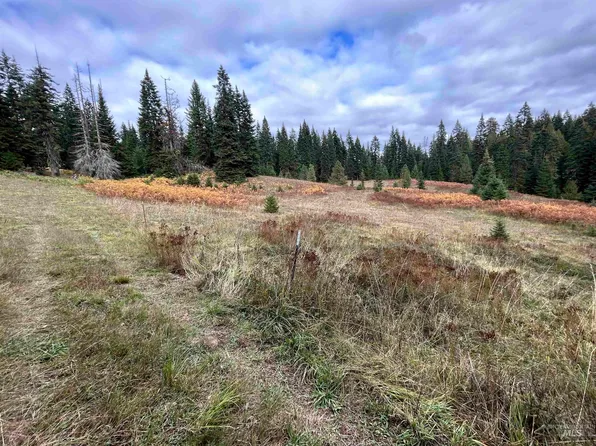 LOT 3 Glenwood Rd, Kamiah, ID 83536