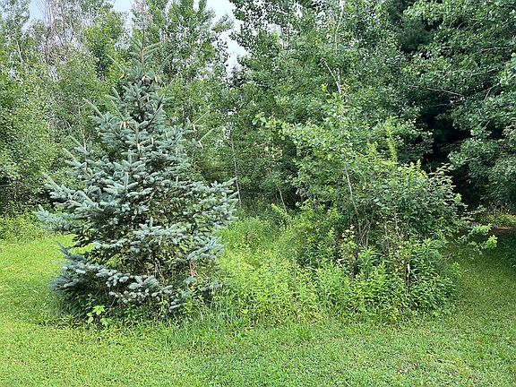 5th image of 2452 State Highway 198