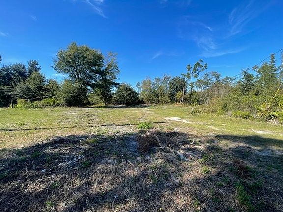 4th image of 453 Palmetto Dr