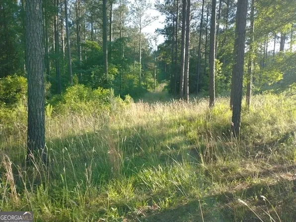 0 Tom Walton Rd, Tignall, GA 30668